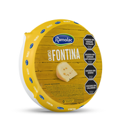 Queso Fontina